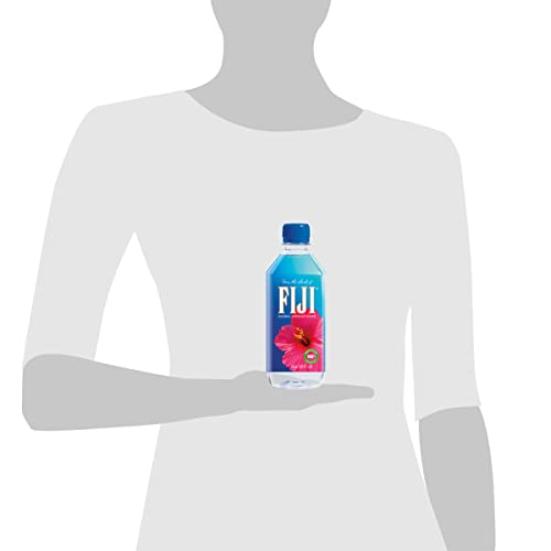 Fiji Natural Artesian Water, 16.9 Fl Ounce Bottle Pack Of 24