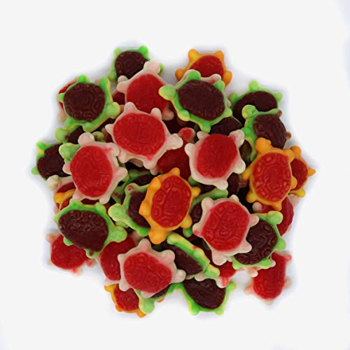 Firstchoicecandy Jelly Filled Gummy Turtles 2 Lb