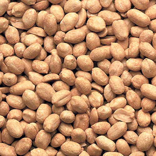 Fisher Snack Sea Salt Dry Roasted Peanuts, 14 Oz