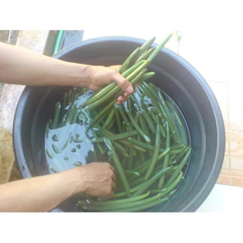 Tahitian Vanilla Beans Grade A For Extract, Cooking And Baking