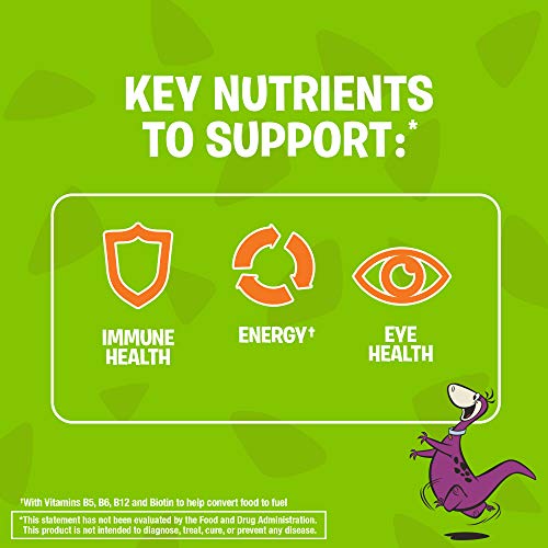 Flintstones Gummies Kids Vitamins with Immunity Support*, Kids a...