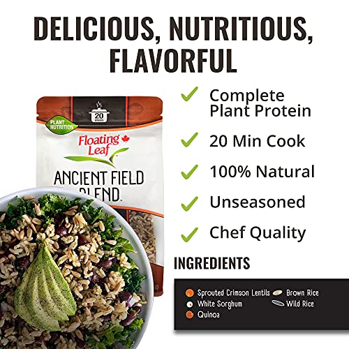 Floating Leaf Sprouted Crimson Lentils, Wild Rice And Quinoa Pra