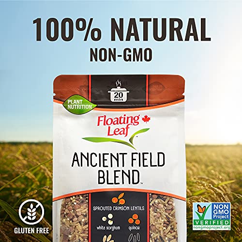 Floating Leaf Sprouted Crimson Lentils, Wild Rice And Quinoa Pra