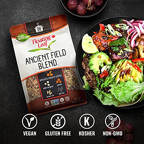 Floating Leaf Sprouted Crimson Lentils, Wild Rice And Quinoa Pra