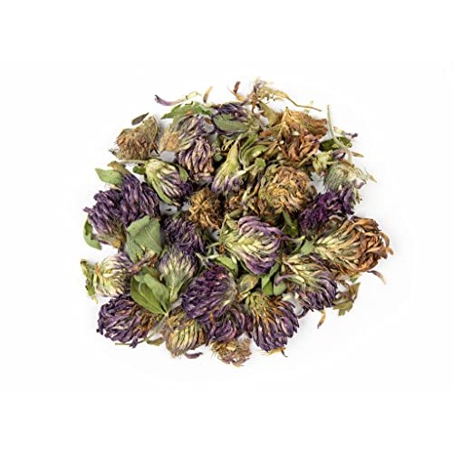 Florida Herb House Red Clover Blossom Organic Whole Trifolium P...