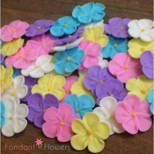 Set Of 24 Edible Royal Icing Forget Me Nots Blue, Large 1.5