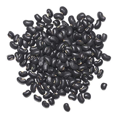 Black Turtle Beans, 10 Pounds - Dried, Bulk, Kosher