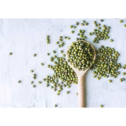 Certified Organic Mung Beans By Food To Live Sprouting, Non-Gmo