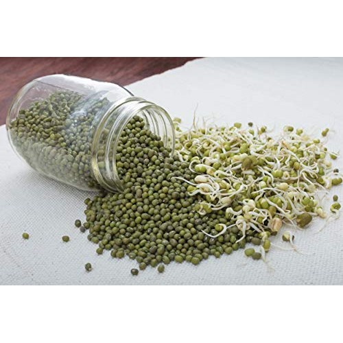 Certified Organic Mung Beans By Food To Live Sprouting, Non-Gmo