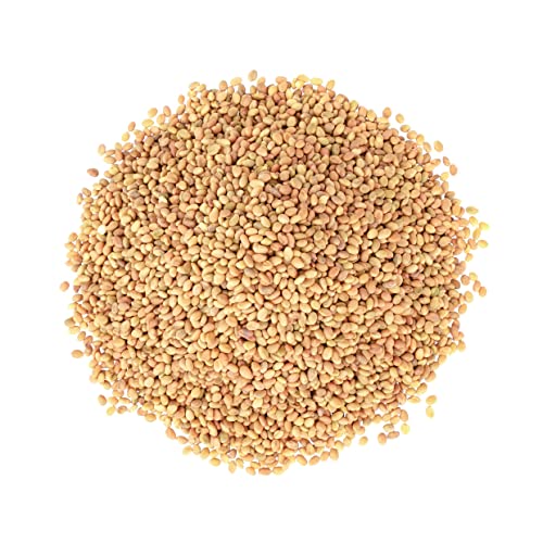 Clover Seeds for Sprouting, 1 Pound – Non-GMO Verified, Pure, Ve...