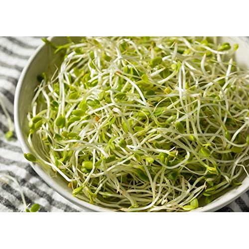 Clover Seeds for Sprouting, 1 Pound – Non-GMO Verified, Pure, Ve...