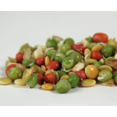 Crunchy Mix Of Sprouting Bean Seeds, 1 Pound - Green Peas, Adzuk
