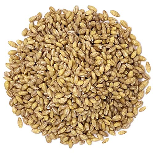Food to Live Organic Hulled Barley, 5 Pounds Non-GMO, 100% Whole...