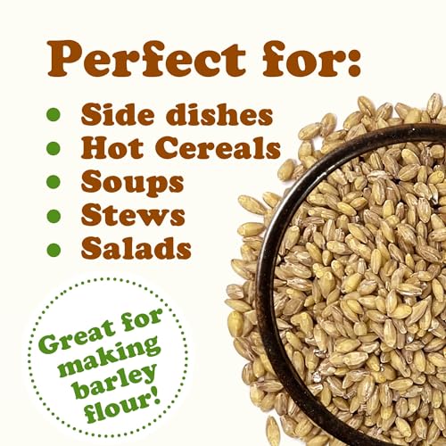 Food to Live Organic Hulled Barley, 5 Pounds Non-GMO, 100% Whole...