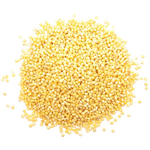 Hulled Millet, 1.5 Pounds - Whole Grain Seeds, Kosher, Raw, Bulk