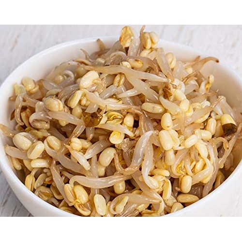 Mung Beans, 5 Pounds - Green, Dried, Kosher, Bulk