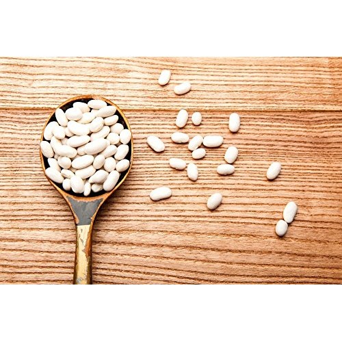 Organic Cannellini Beans, 10 Pounds - Raw, Dried, Non-Gmo, Koshe