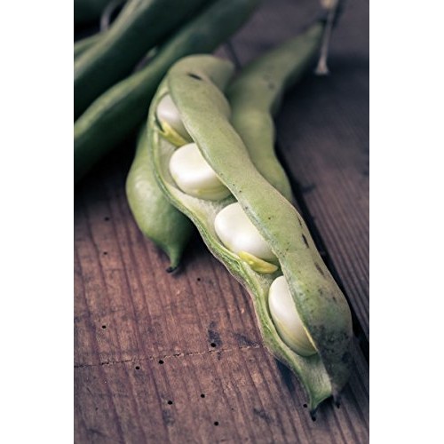 Organic Cannellini Beans, 3 Pounds - Raw, Dried, Non-Gmo, Kosher