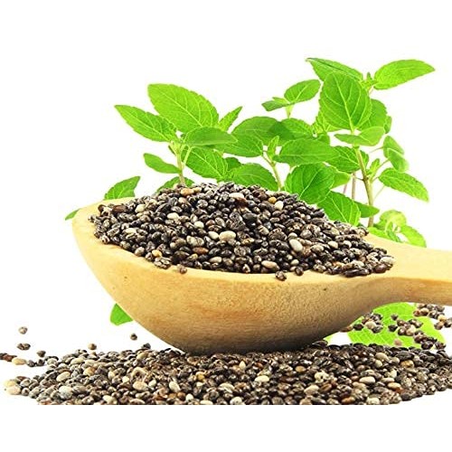 Organic Chia Seeds, 8 Ounces — Black, Vegan, Kosher, Non-Gmo, Gr