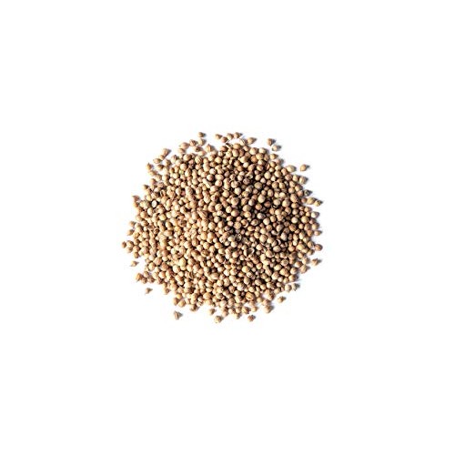 Organic Coriander Seeds, 1 Pound - Whole, Non-Gmo Spice, Non-Irr