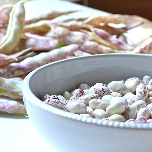 Organic Cranberry Beans, 25 Pounds - Dried Borlotti Beans, Non-G
