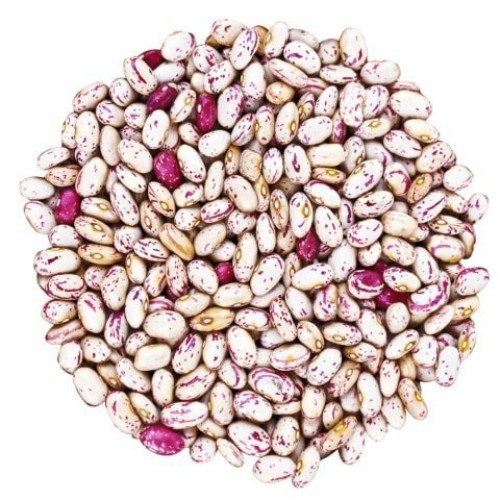 Organic Cranberry Beans, 5 Pounds - Dried Borlotti Beans, Non-Gm
