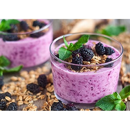 Organic Dried Black Mulberries, 2 Pounds - Non-GMO, Raw Fruit, U...