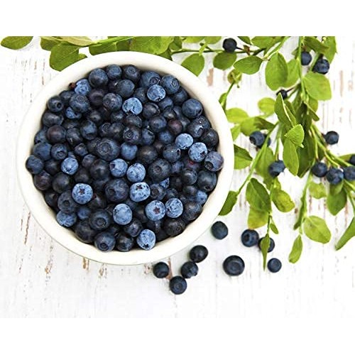 Organic Dried Blueberries, 2 Pounds - Non-Gmo, Kosher, Raw, Vega