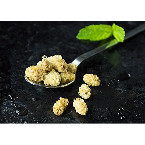 Organic Dried White Mulberries, 5 Pounds - Non-GMO, Unsulfured, ...