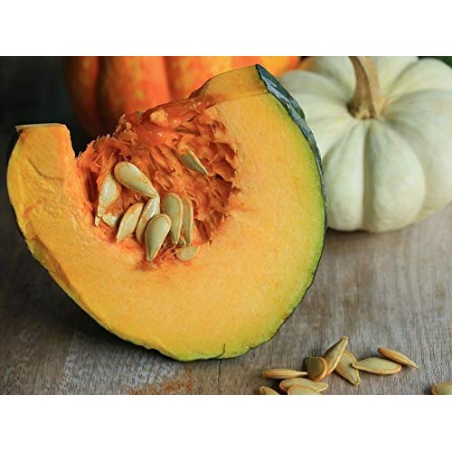 Organic Dry Roasted Pumpkin Seeds With Sea Salt, 4 Pounds — Non-