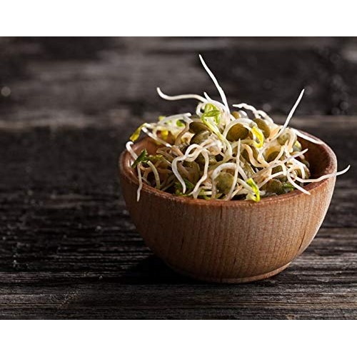 Organic French Green Lentils By Food To Live Whole Dry Beans, N