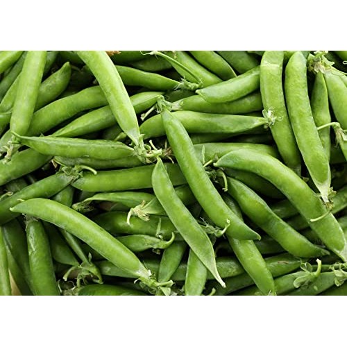 Organic Green Pea Flour, 1.5 Pounds – Non-GMO, Finely Ground, Pu...