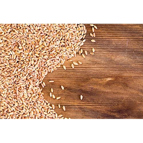 Organic Italian Pearled Farro, 3 Pounds - Non-Gmo, Kosher, Vegan