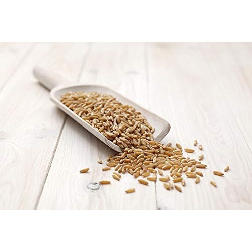 Organic Kamut Khorasan Wheat Flour, 1 Pound - Stone Ground Powde