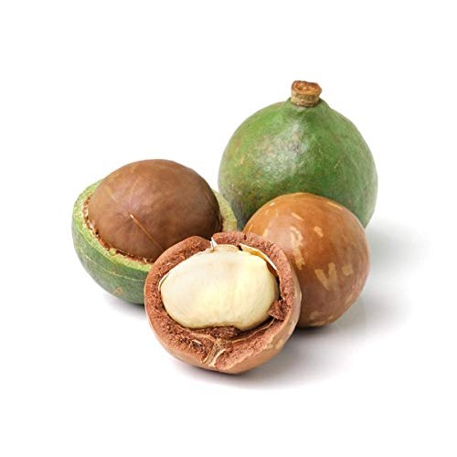 Organic Macadamia Nut Pieces, 1 Pound - Non-Gmo, Unsalted, Unroa