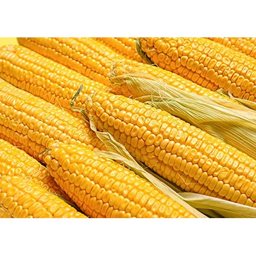 Organic Old Fashioned Cornmeal, 6 Pounds - Non-GMO, Whole Grain,...