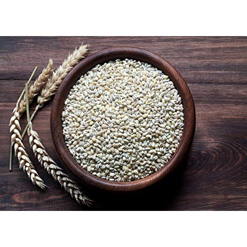 Organic Pearl Barley, 6 Pounds - Non-Gmo, Kosher, Raw, Vegan