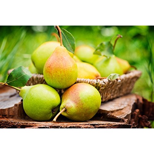 Organic Pears, 1 Pound — California Sun-Dried Pear Halves, Non-G