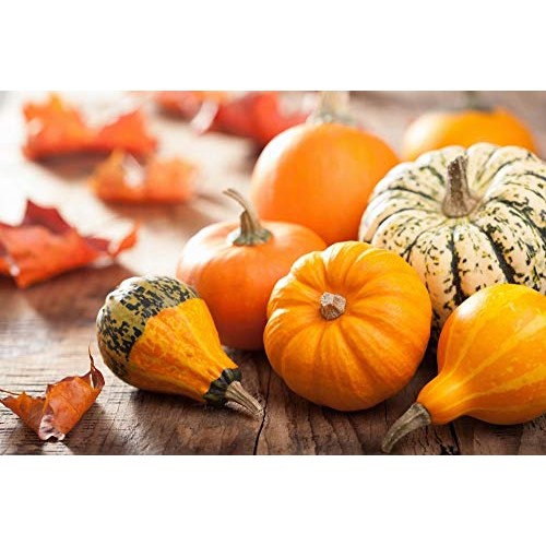 Organic Pepitas / Pumpkin Seeds, 8 Pounds – No Shell, Non-Gmo, K