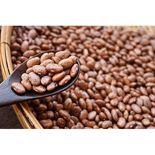 Organic Pinto Beans, 10 Pounds - Non-Gmo, Kosher, Bulk