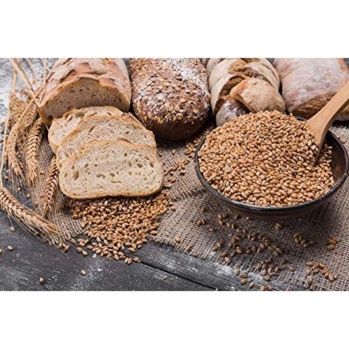 Organic Rye Berries, 1 Pound - Whole Wheat Grain, Non-Gmo, Koshe