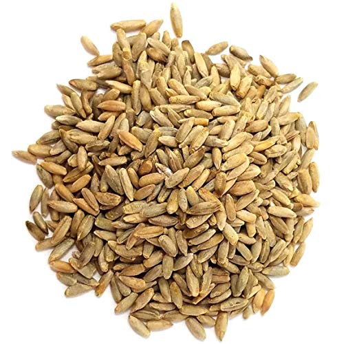 Organic Rye Berries, 10 Pounds - Whole Wheat Grain, Non-Gmo, Kos