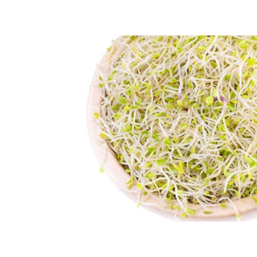 Organic Salad Mix of Sprouting Seeds, 5 Pounds – Non-GMO Broccol...