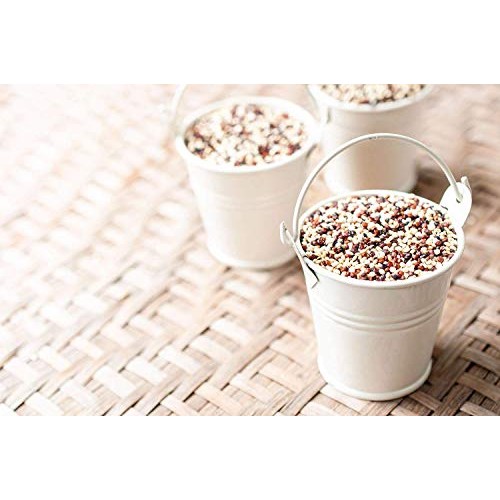 Organic Tri-Color Quinoa, 10 Pounds — Non-Gmo, Raw, Whole Grain,