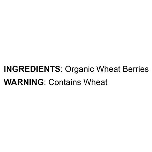 Organic Wheat Berries, 1 Pound – Non-Gmo, Kosher, Raw, Sproutabl