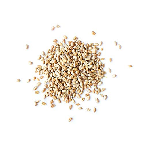Organic Wheat Berries, 1 Pound – Non-Gmo, Kosher, Raw, Sproutabl