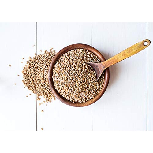Organic Wheat Berries, 3 Pounds – Non-Gmo, Kosher, Raw, Sproutab
