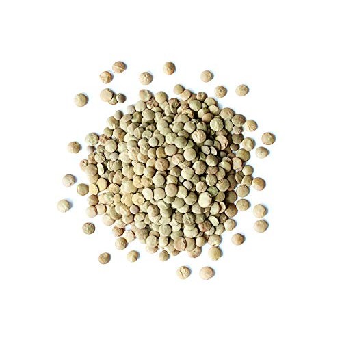 Organic Green Lentils, 25 Pounds — Whole Dry Beans, Non-Gmo, Kos