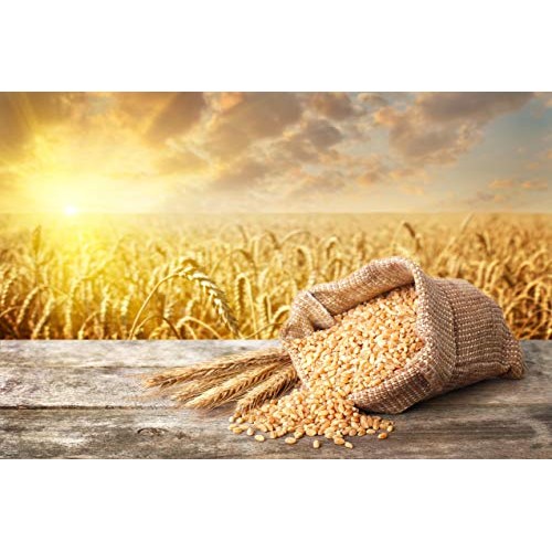 Organic Whole Wheat Couscous, 3 Pounds - Non-Gmo, Kosher, Raw, V