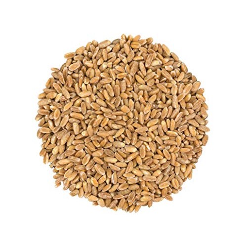 Pearled Farro Grain, 3 Pounds - Kosher, Vegan, Whole Grain In Bu